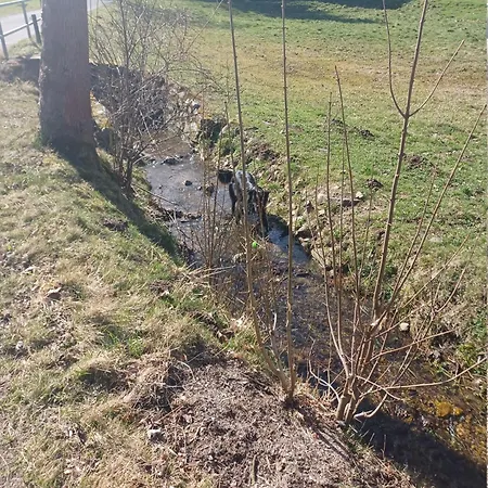 Am Schloss Im Erzgebirge Lauenstein