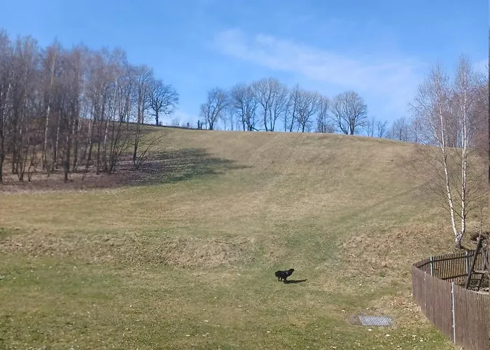 Am Schloss Im Erzgebirge