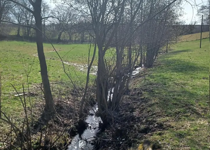 Am Schloss Im Erzgebirge * Lauenstein