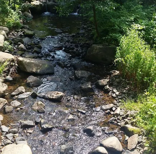Am Schloss Im Erzgebirge *